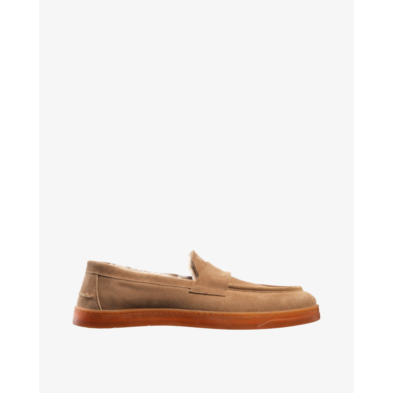 MAURIZI Cipele 16234/JZ25 CASTORO