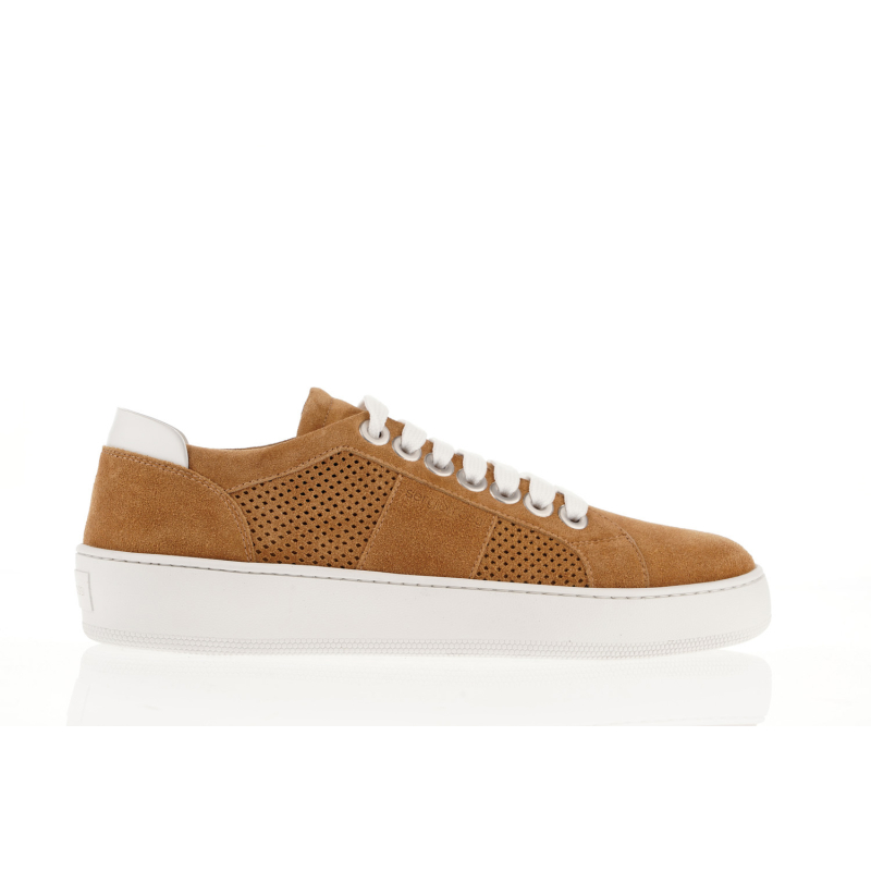 SERGIO ROSSI Patike A87090/22 CARAMEL